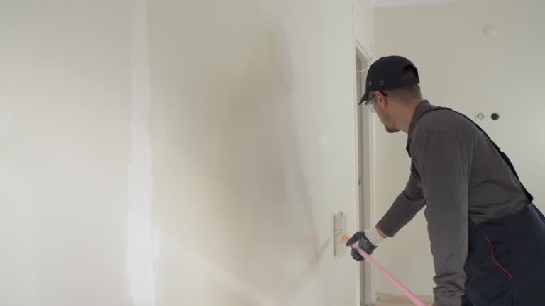 Best Fire-Damaged Drywall Repair  in Ridgway, CO